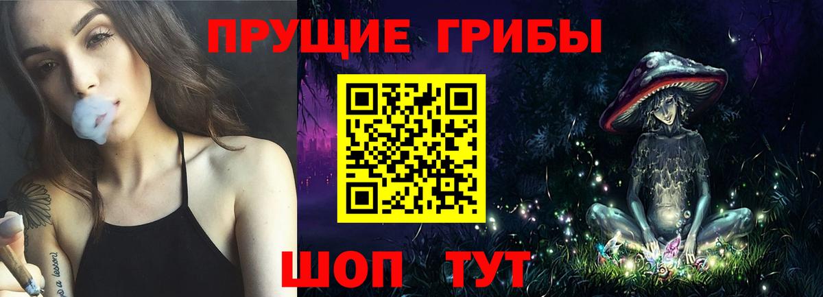 Артём  Псилоцибиновые грибы MAGIC MUSHROOMS  Вход с VPN 